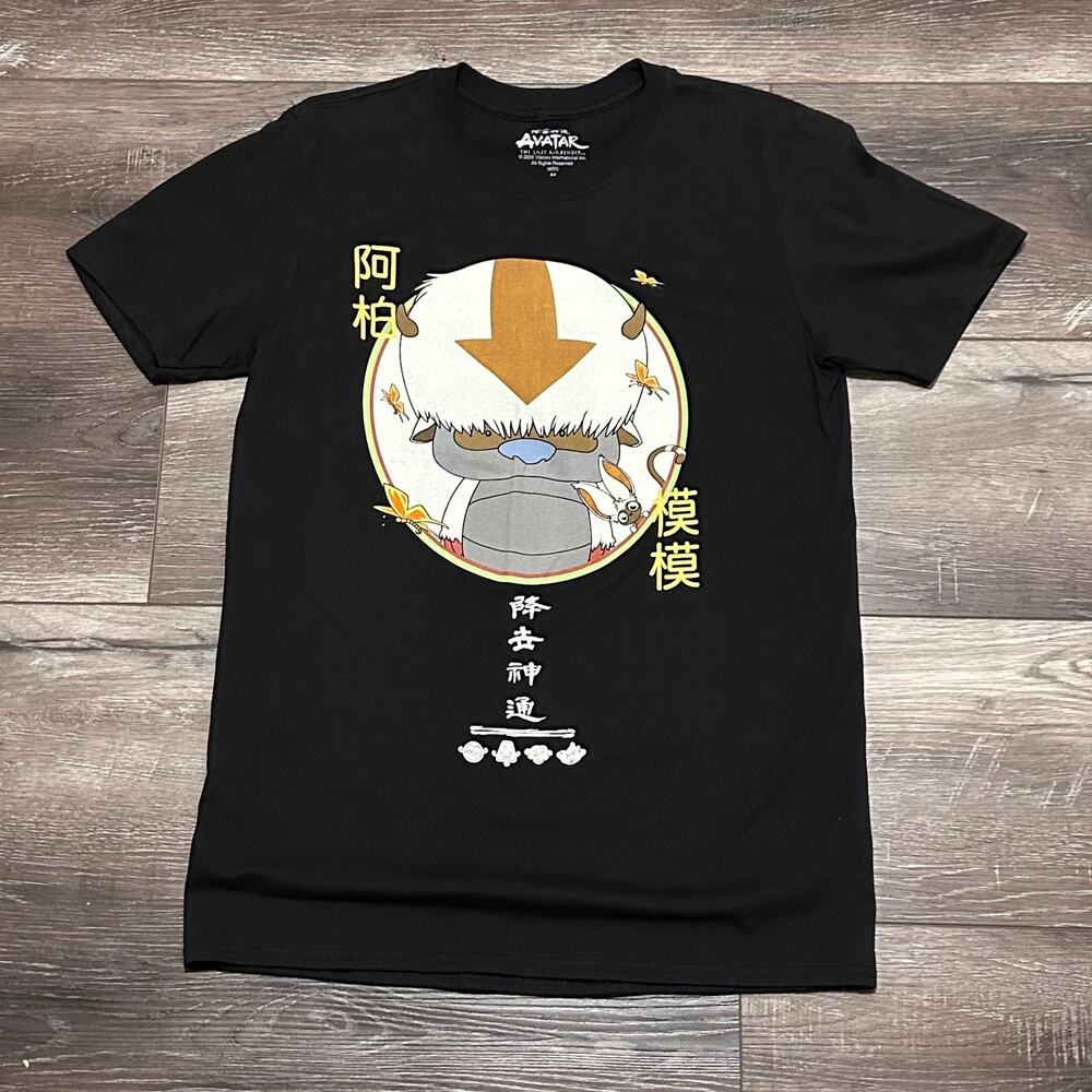 Avatar the Last Airbender Men's Medium T-Shirt Nickleodeon